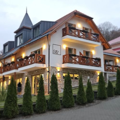 Vila Salt & Soul Sovata Băi