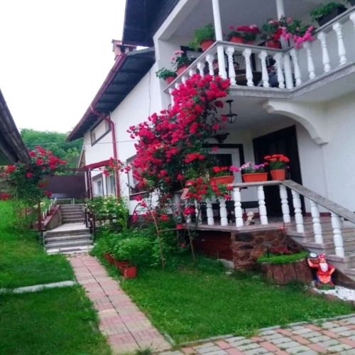 Pensiunea Andreea Arefu