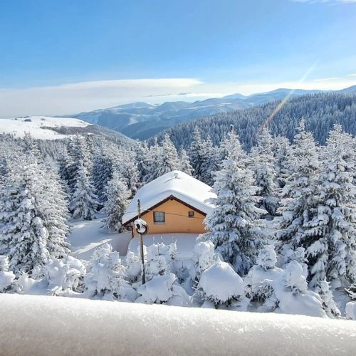 Vila Ștefana Păltiniș – Păltiniș, România