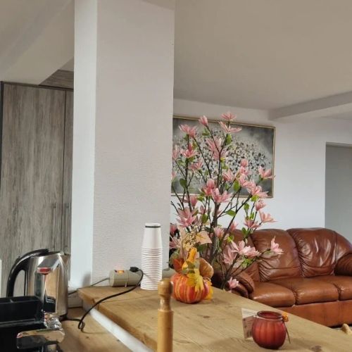 Casa de Sub Brazi Fântânele