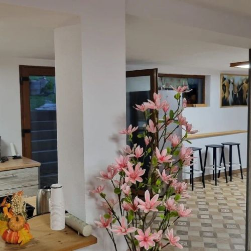 Casa de Sub Brazi Fântânele – Fântânele, România
