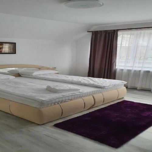 Casa Erma Moisei – Moisei, România