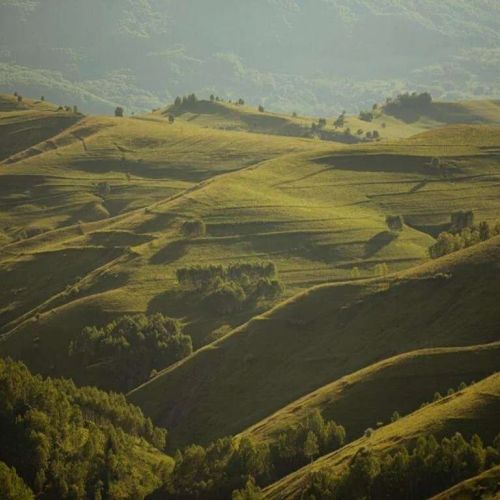 Raven's Nest - The Hidden Village in Transylvania Sub Piatră – Sub Piatră, România