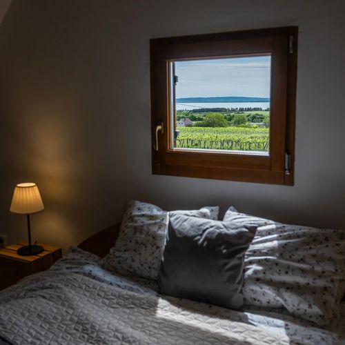 Tagyon Birtok Kései Szüret Apartmanház Tagyonhegy