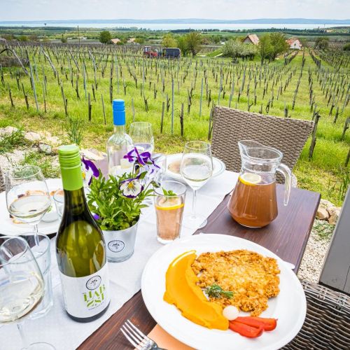 Tagyon Birtok Tulipán Apartmanház Tagyonhegy – Tagyonhegy, Ungaria