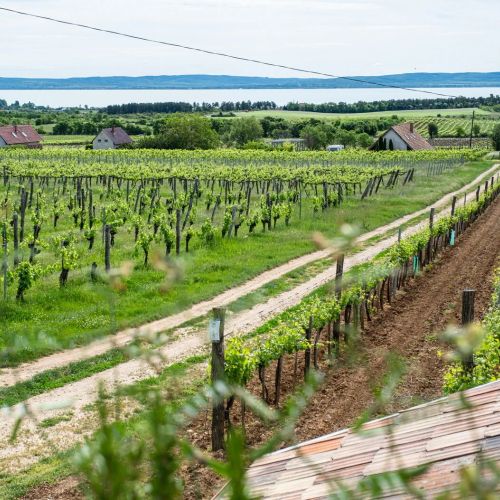 Tagyon Birtok Tulipán Apartmanház Tagyonhegy – Tagyonhegy, Ungaria