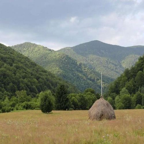 Cabana Roua - Apuseni Mountains Pietroasa – Pietroasa, România