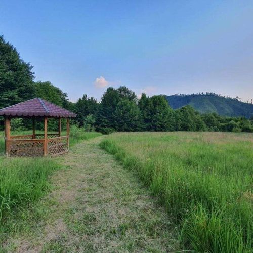Cabana Roua - Apuseni Mountains Pietroasa – Pietroasa, România