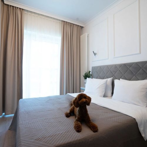 Golden Apartments Warszawa