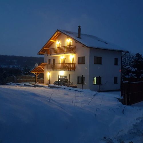 Green Hill Transilvanya Guesthouse Fântânele