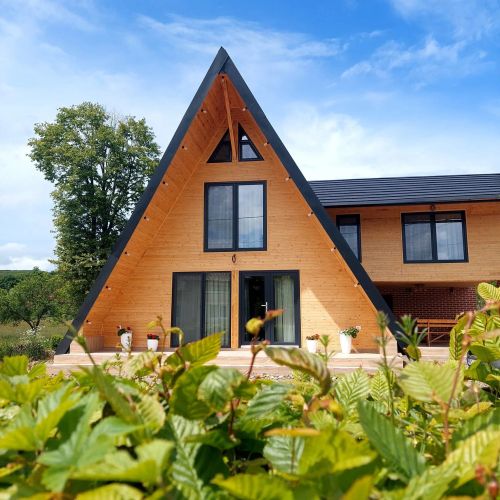 Cabana Ema House Vad
