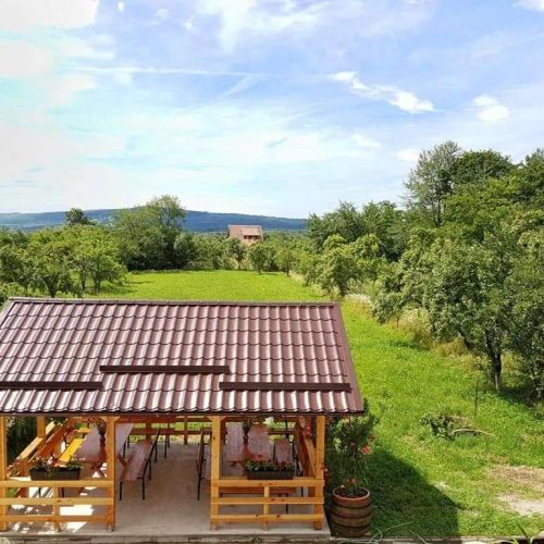 Pensiunea Codruta Crasna – Crasna, România