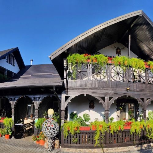 Pensiunea Potcovaru Vişeu de Sus