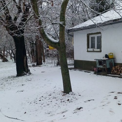 Majs-lakó Kiskunmajsa