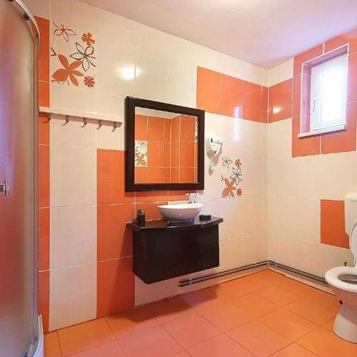 Casa Bamby Slănic-Moldova – Slănic-Moldova, România