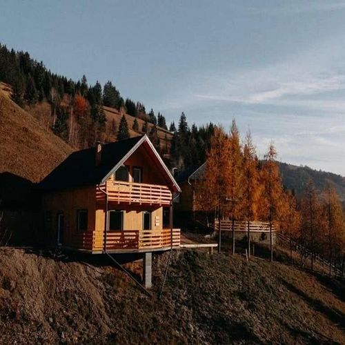 Cabana Village Brăduțu Dămuc