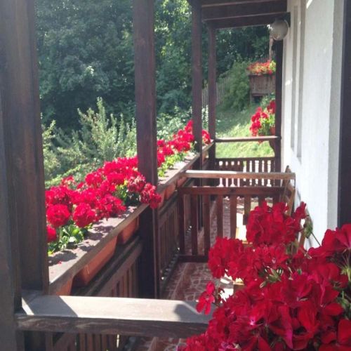 Vila Thomas Sinaia – Sinaia, România