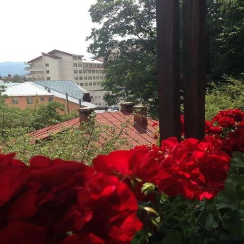 Vila Thomas Sinaia – Sinaia, România