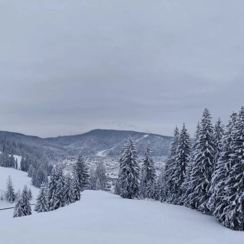 Casa Bucovina Sky View Gura Humorului – Gura Humorului, România