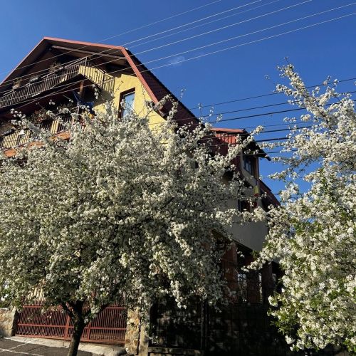 Camere de Inchiriat Spicului Cluj-Napoca