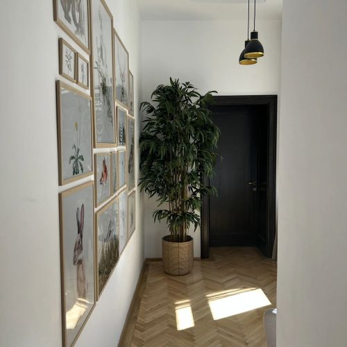 Apartament Nature Inspired Stay in Piata Sfatului Brașov
