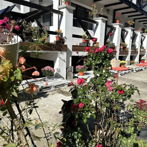 Murmur Chalet Breaza – Breaza, România
