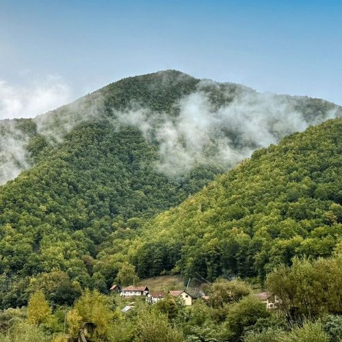 Eden Natural Resort Căpâlna