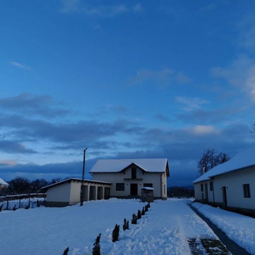 Casa Romanilor Peșteana