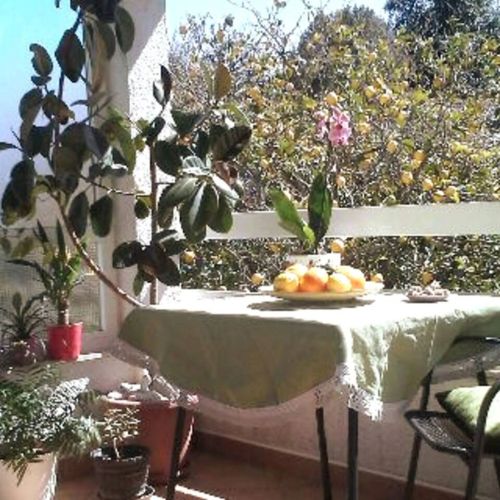 Apartment Jadris Loviste – Lovište, Croația