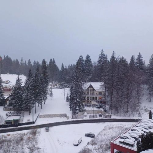 Vila Cristalfrost Poiana Brașov – Poiana Brasov, România