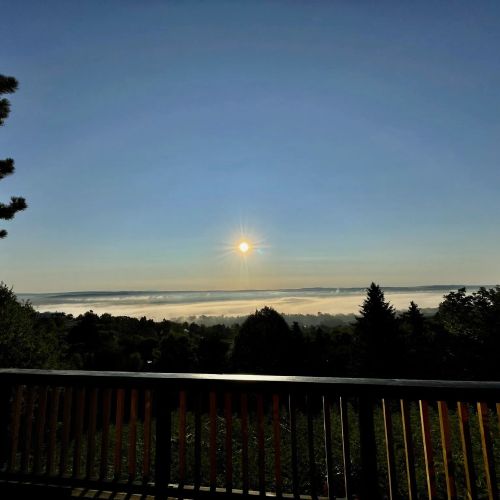 Black Pine Cabin Szentendre – Szentendre, Ungaria
