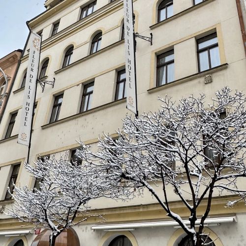 Fleur De Lis Hotel – Praha, Česká republika