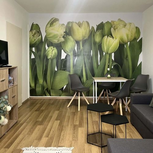 Green Harmony Apartman Pécs