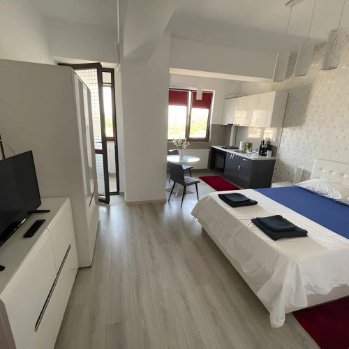 Apartament Lazar no. 110 / downtown Iași