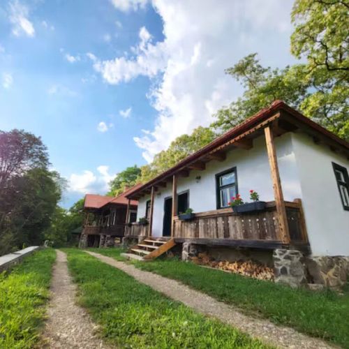 Room 2 in Arboretum Guesthouse Șoimeni