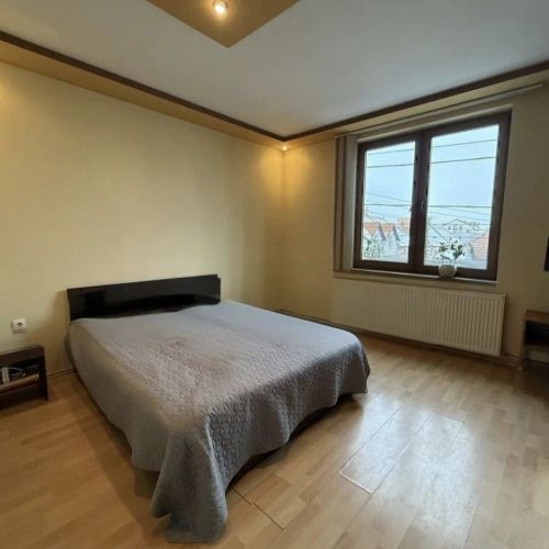 Vila Alfa Sibiu