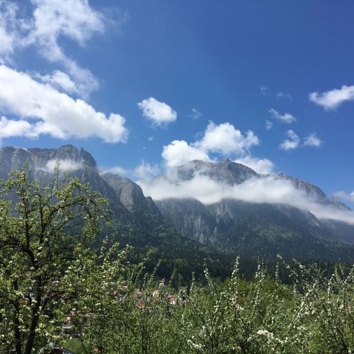 Chalet & Spa Maestrul și Margareta - Ap Margareta Bușteni – Buşteni, România