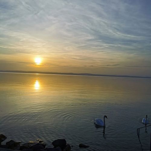 Leicht Apartman Siofok