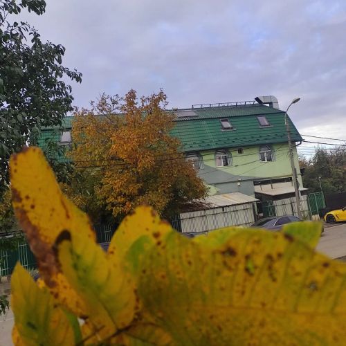 Vila Aviatorul Cluj-Napoca