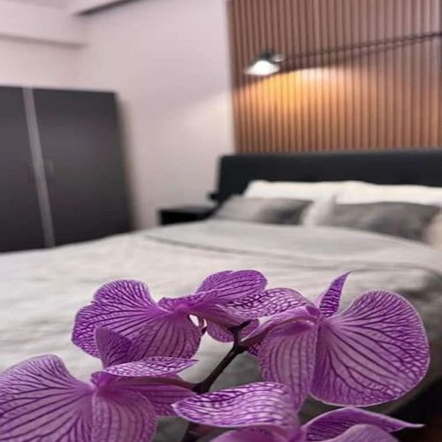 Apartament Comfort & Style Victoriei București