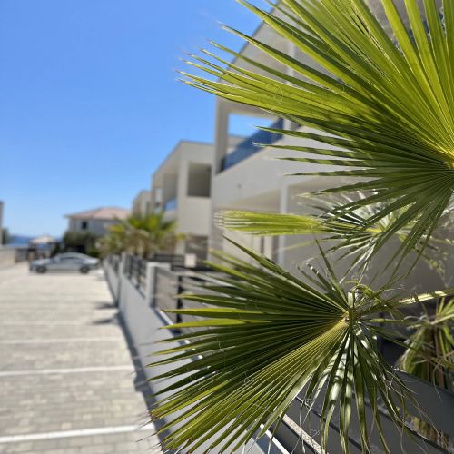 Apartments B Palm Tree Vir – Vir, Croația