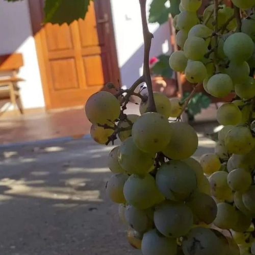 Héhely Vendégház Hollókő – Hollókő, Maďarsko