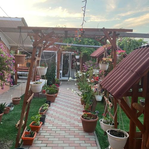 Pensiunea Alexa Bacău – Bacău, România