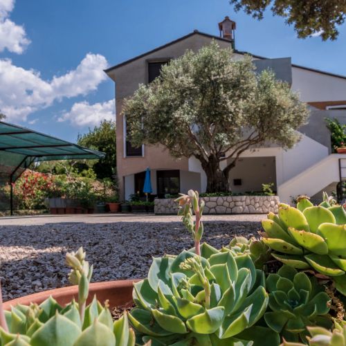 Apartments Villa Ana Palit