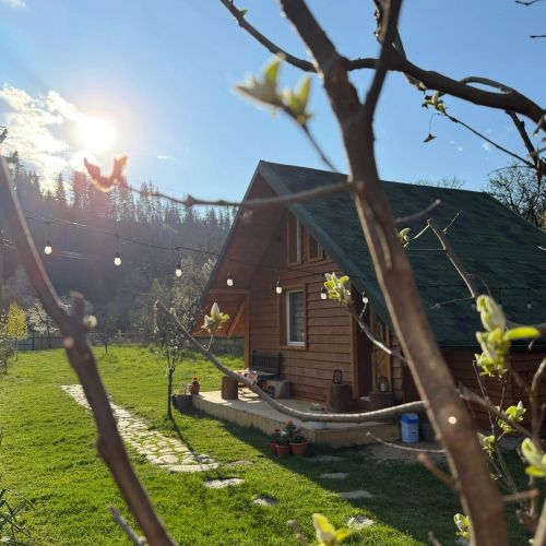 Escape Tiny Cabin Lereşti   – Lereşti, Rumunia