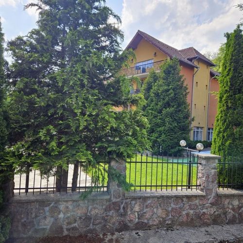 Pensiunea Raluca Moneasa