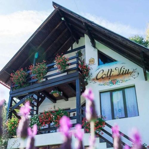 Cabana Colț Viu Bran – Bran, România