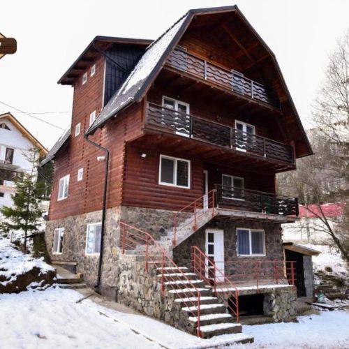 Cabana Andy Râuşor