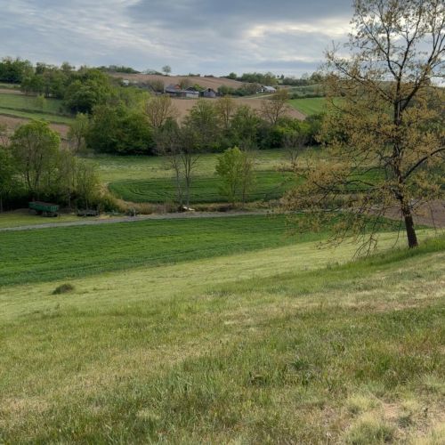 Casa Ili House, Home & Retreat Cehal – Cehal, România