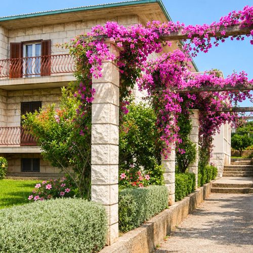 Apartman Supetar - CDB879